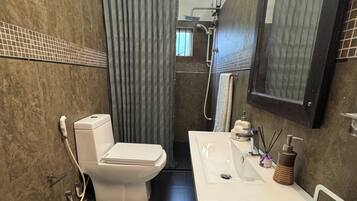 Shower, hair dryer, bidet, towels