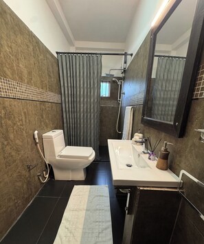 Shower, hair dryer, bidet, towels