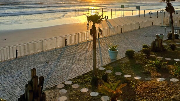 A beachside promenade with a palm tree, potted plants, and a fence. - Heart of Daytona 1 bedroom w/kitchen, sleeps 4, private balcony, fireplace, pool (Daytona Beach)