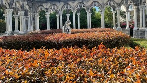 A courtyard with a statue, surrounded by columns and arches, and a well-maintained garden with orange foliage.