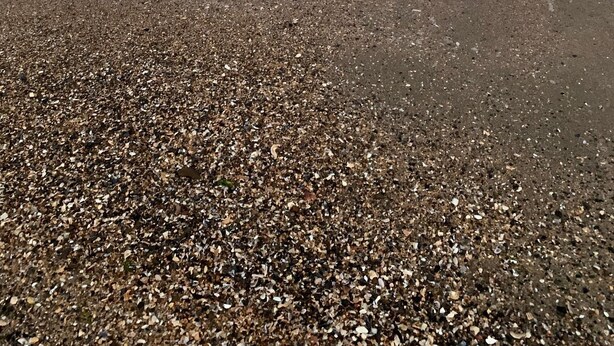 Una playa con piedras y olas.