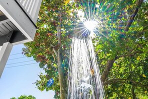 A tree with water cascading down its trunk, surrounded by lush foliage.