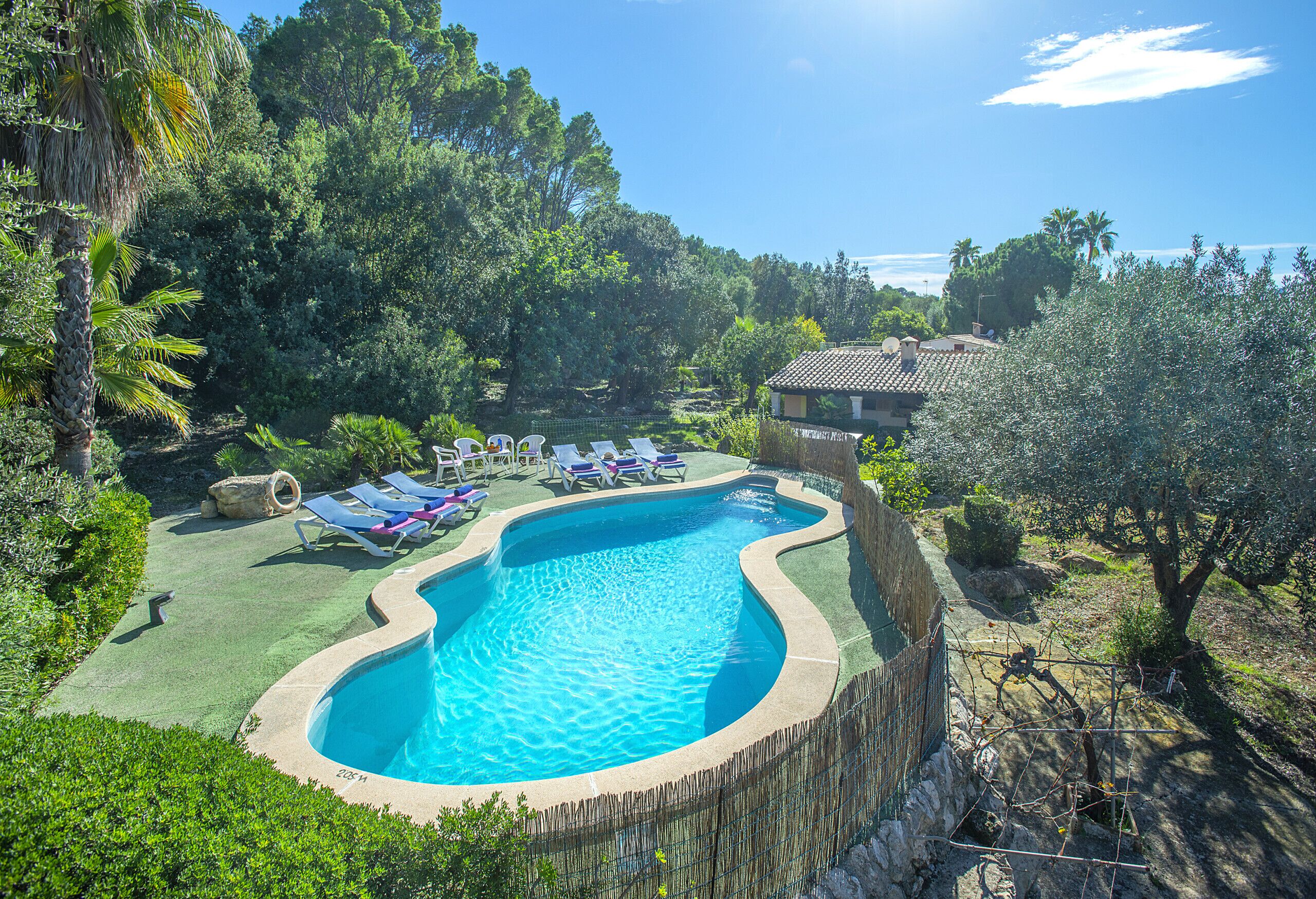 A swimming pool with a wooden fence, surrounded by greenery and a house in the background.
