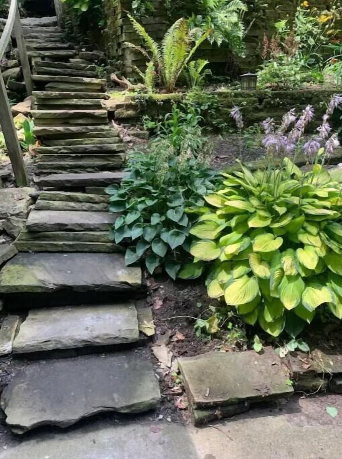 Áreas de la propiedad