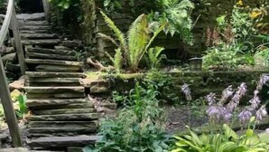 A stone staircase leading up to a garden area with various plants and a stone wall in the background.