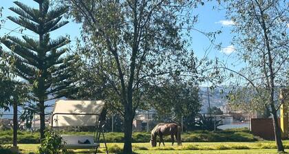 Grandfather´s Farm - Disfruta de la Naturaleza en un Lindo Flat