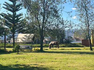 Grandfather´s Farm - Disfruta de la Naturaleza en un Lindo Flat