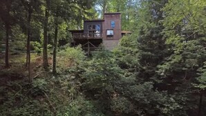 A cabin in a forest with a wooden deck and a small tower-like structure. - Red Bend cabin overlooking the river with hot tub. (Bellville)