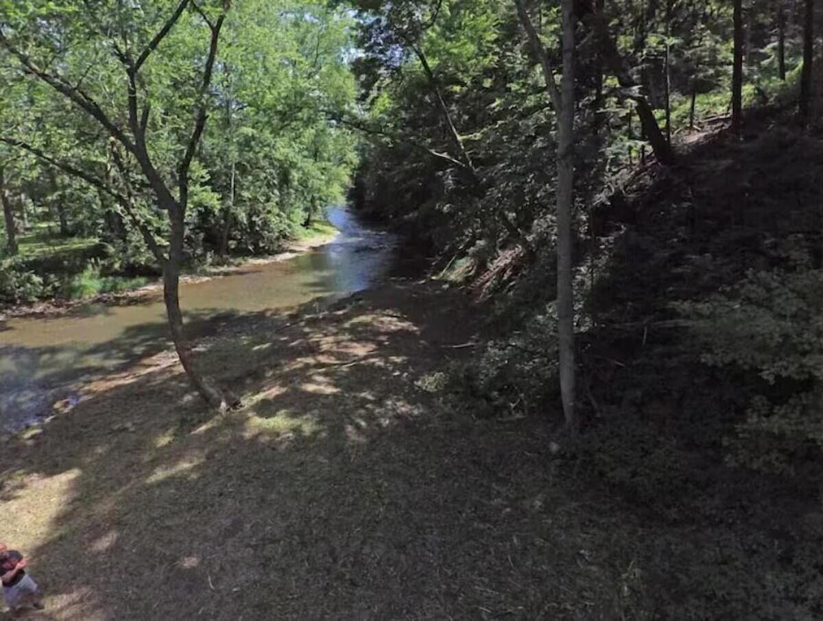 Eine natürliche Landschaft mit einem Fluss, Bäumen und einer Wiese.