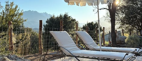 Terras