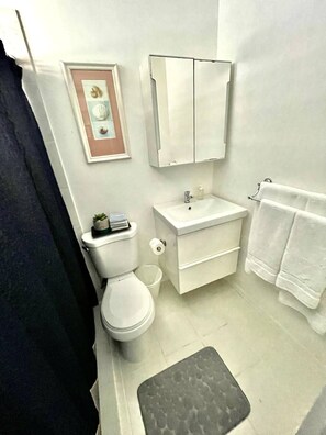 Shower, hair dryer, towels, soap - Modern Beach Front Studio -Oceanview Balcony. On CONDADO BEACH San Juan PR

 (San Juan)