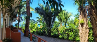 One bedroom tiny condo PB1 with huge pool! Extended stays get discounted rates!