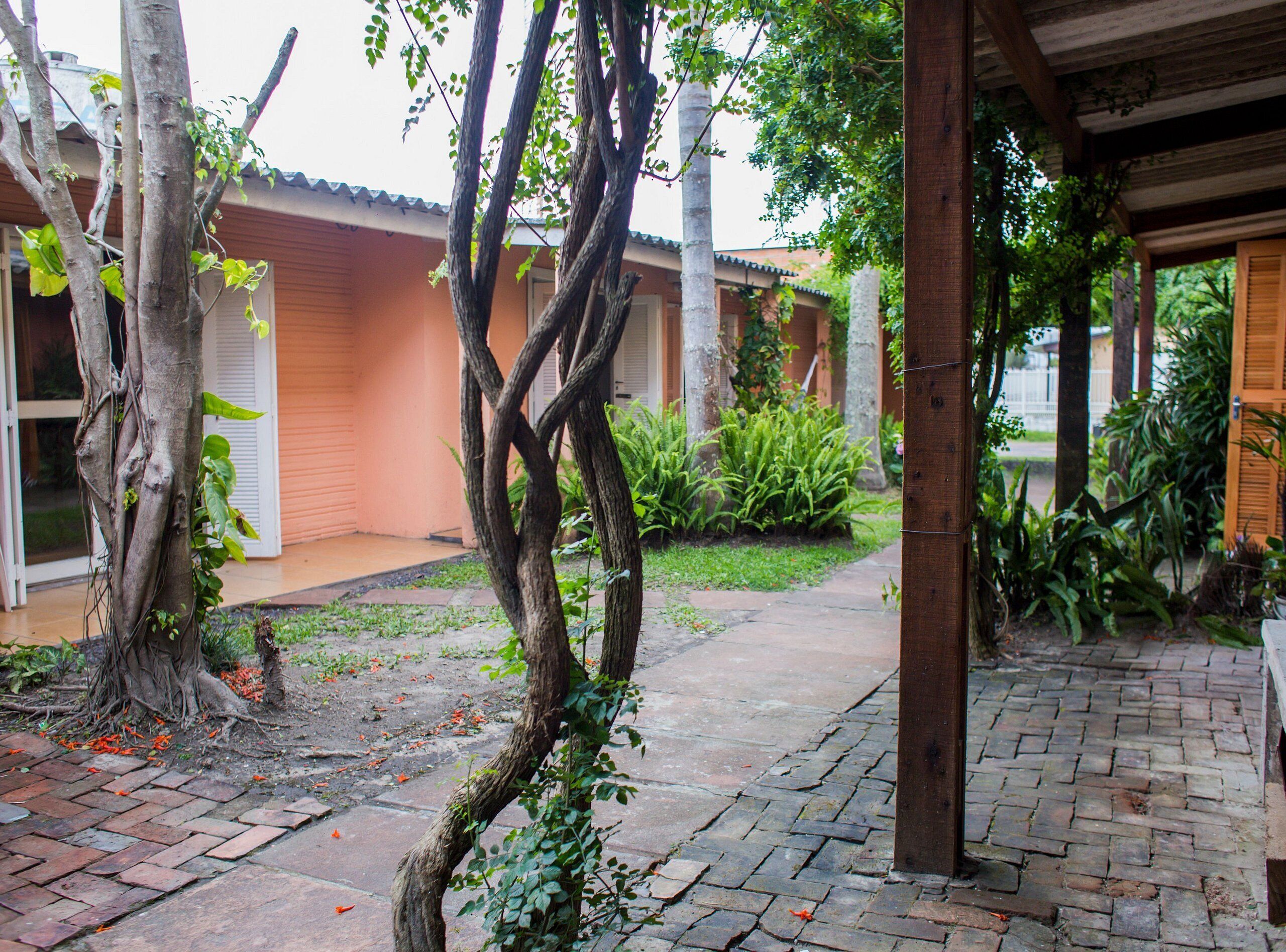 A courtyard with a brick pathway, a tree with exposed roots, and a building with a tiled roof.