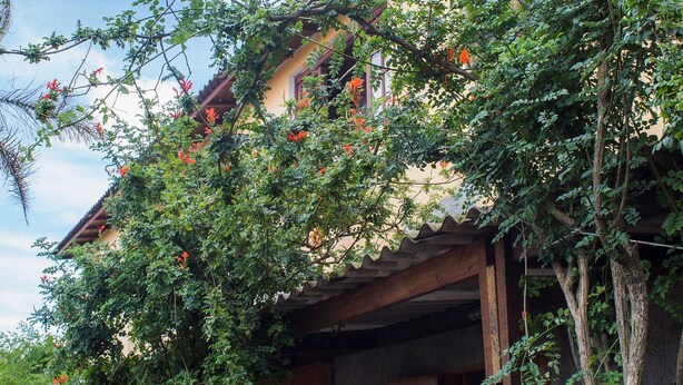 Ein traditionelles Haus mit Holztür und -fenstern, umgeben von üppigem Grün und Bäumen.