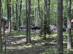 Property grounds - Amazing Log Cabin Nestled in 1000s of Acres of Beautiful Forest (Lake)