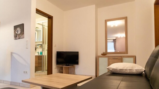A modern living room with a sofa, a TV, a wooden table, and a mirror. - Reiterhof Finkenmühle Fewo Gipsy (Weißenstadt)