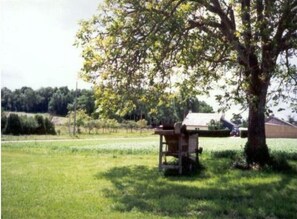 Property grounds - Gite La Laverie
(Allonnes)