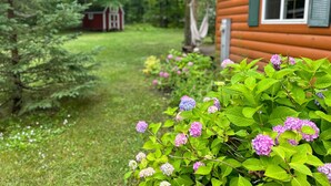 A wooden cabin with a garden in front, surrounded by trees. - Newberry U.P. Cabin (Newberry)