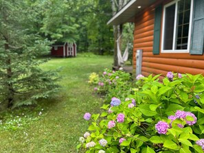 A wooden cabin with a garden in front, surrounded by trees.