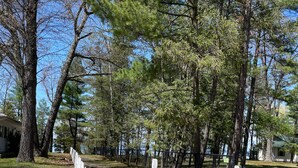 A forested area with several cabins and a white house. - Cabin @ Torch with Lake Access, Kayaks & Outdoor Shower! (Rapid City)