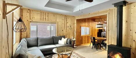 Smart TV, fireplace, books