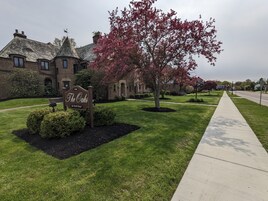 Vista desde la habitación