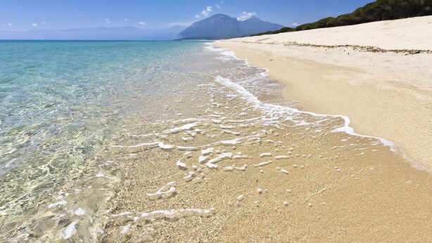 Strand