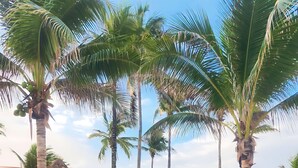 A beach with palm trees, thatched umbrellas, and a blue inflatable boat. - Best Location 3BR Beachfront Condo with Ocean View (Puerto Aventuras)