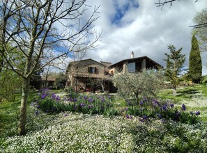 Front of property - Agriturismo Casa Greppo - L'Ulivo (San Venanzo)