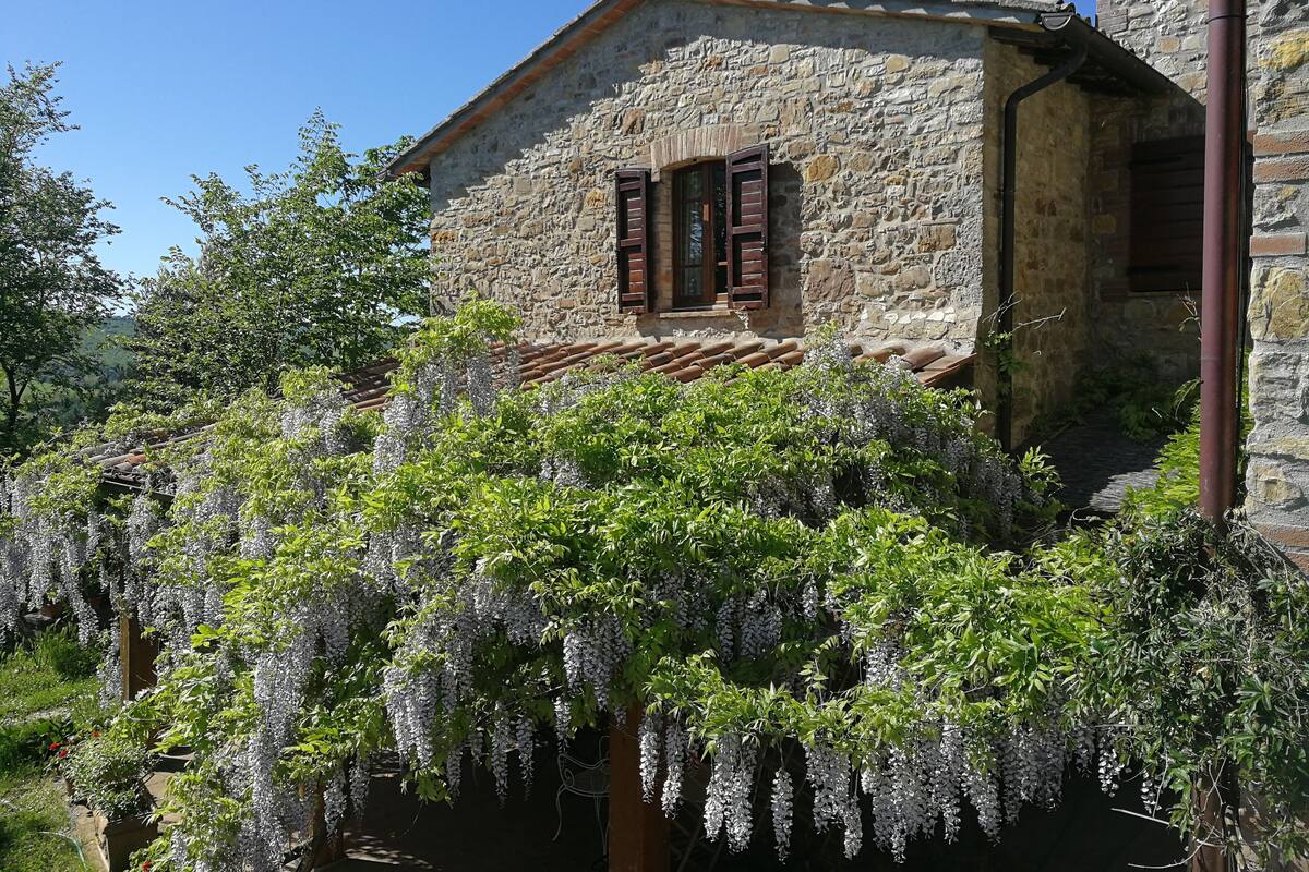 A stone building with a rustic appearance, featuring a small window with wooden shutters and a visible chimney.
