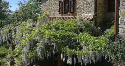 Agriturismo Casa Greppo - L'Ulivo