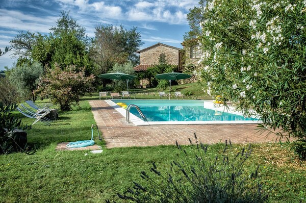 Agriturismo Casa Greppo - L'ulivo - Ombrie