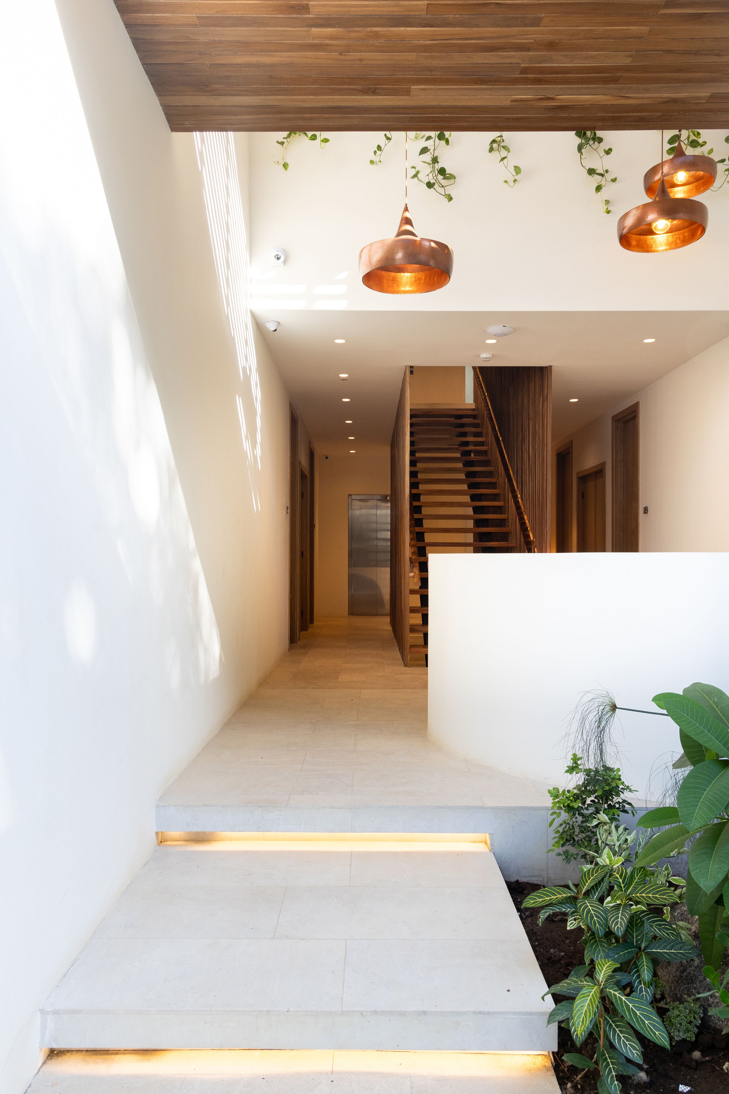 A modern interior with a staircase leading to a wooden staircase, a white wall, and a hanging plant.