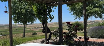 Pickleball @ Casa De-Vine in Paso Robles Wine Country, 10 Acres w/Vineyard Views