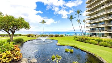 Condo (4 Bedrooms) | View from room