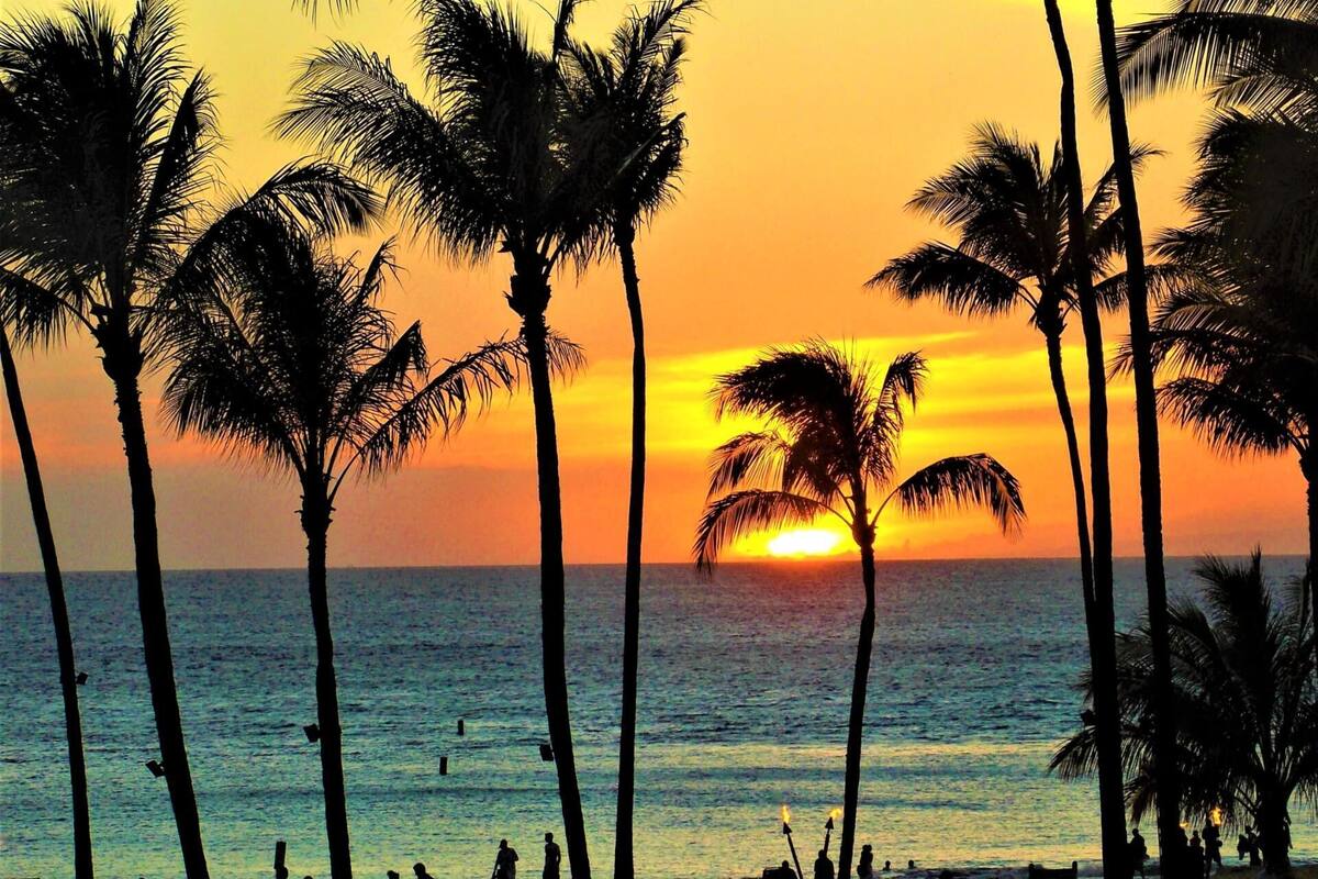 Ein Sonnenuntergang über dem Meer mit palmenartigen Bäumen, die silhouettiert am Himmel stehen.