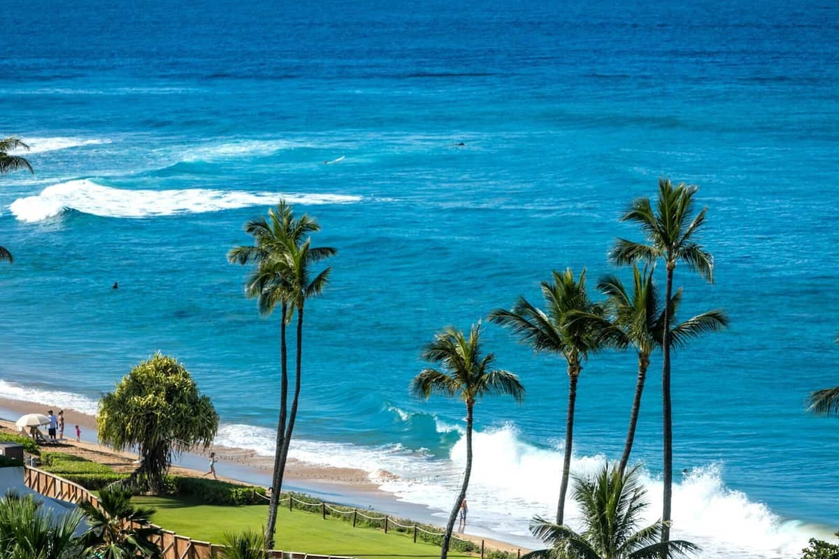 Condo (1 Bedroom) | Vista frontal de la propiedad