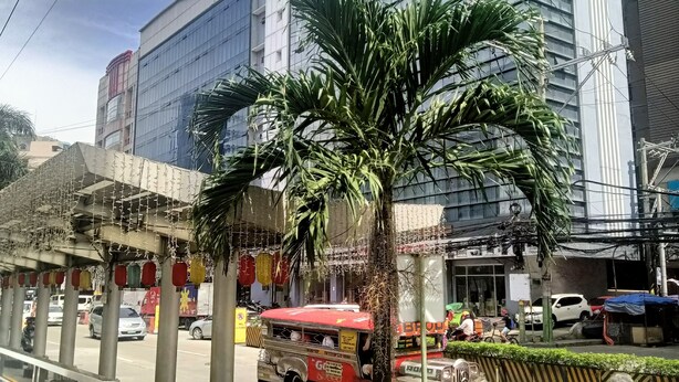 A modern building with a glass facade, a palm tree in the foreground, and a busy street with vehicles and pedestrians. - Pristinehotel (Manila)