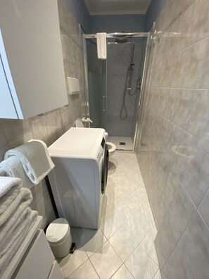 Shower, hair dryer, bidet, towels
