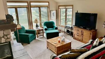 Televisión, chimenea, reproductor de DVD y oficina