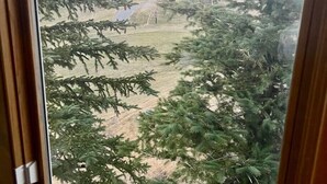 Vista pela janela de uma área residencial, com um campo gramado, árvores e casas ao fundo.