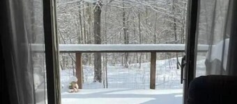 Cozy relaxing studio cabin # 7 , at Deep Woods Cabins