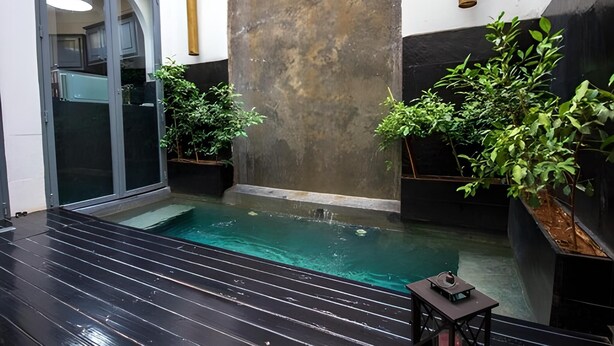 Un área de piscina interior moderna con entrada por puerta de vidrio, una piscina pequeña y plantas en macetas.