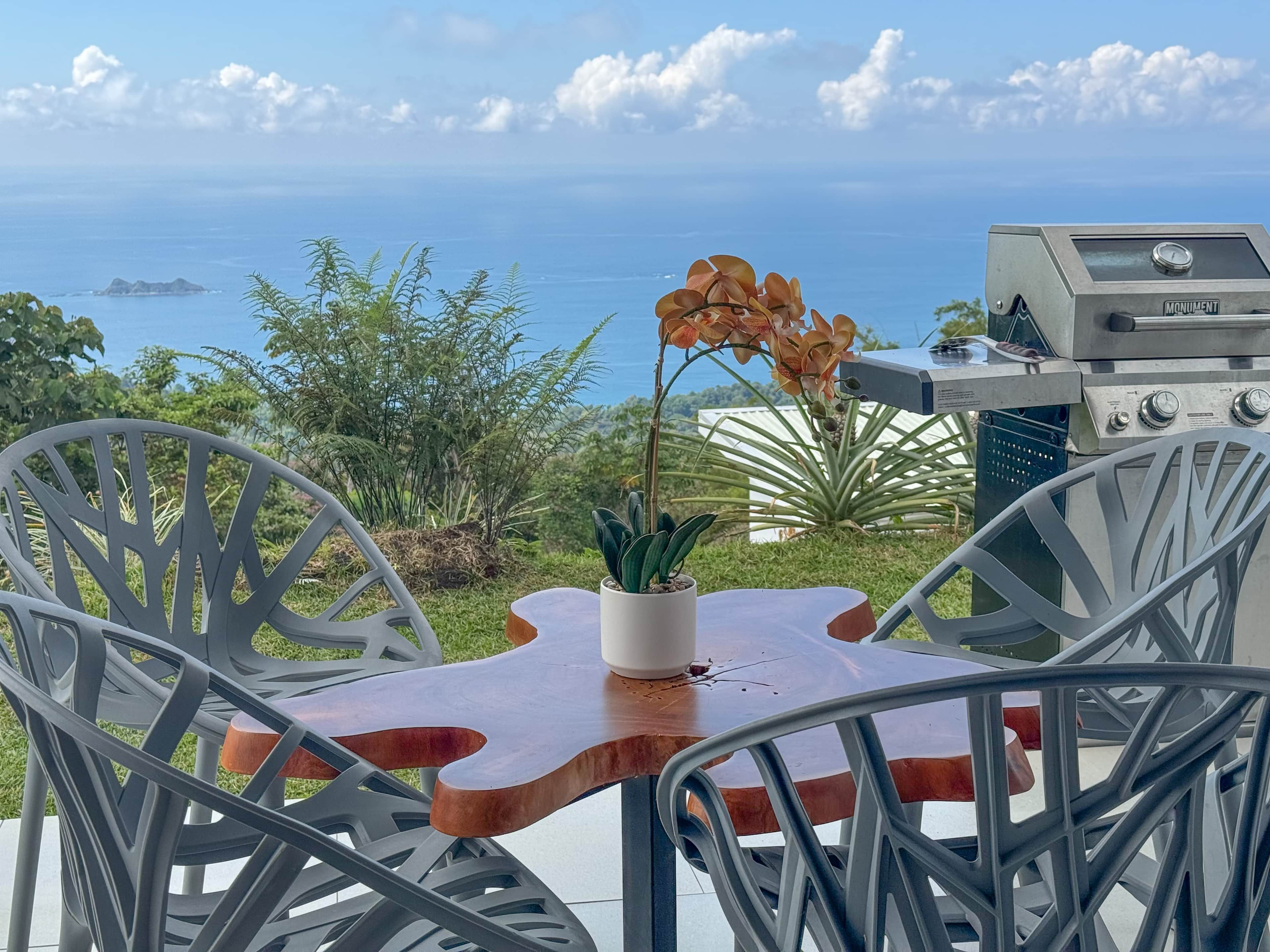 A patio with a grill, chairs, and a table with a plant.
