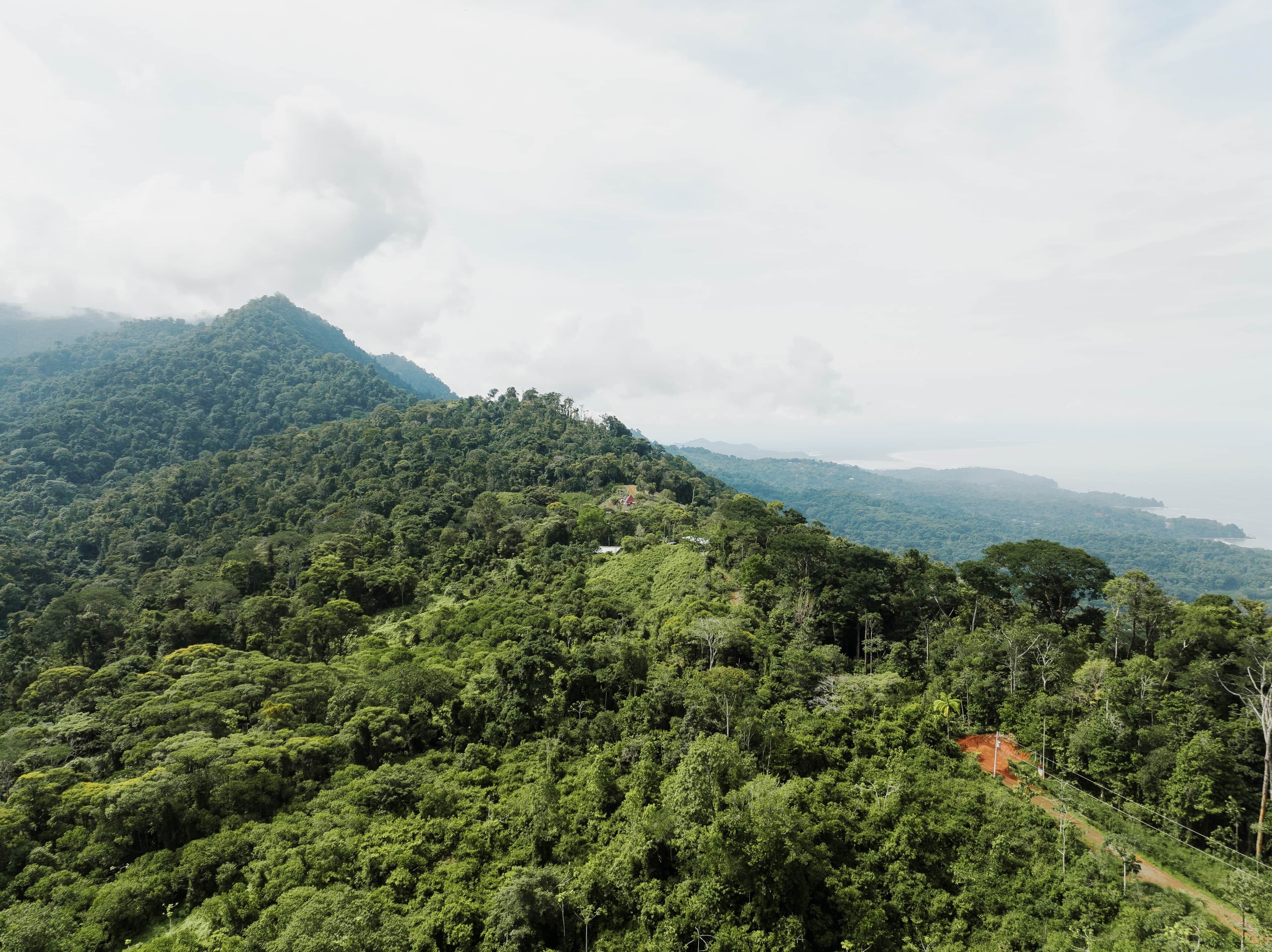 Un paisaje montañoso exuberante y verde con densa vegetación y cielo despejado.