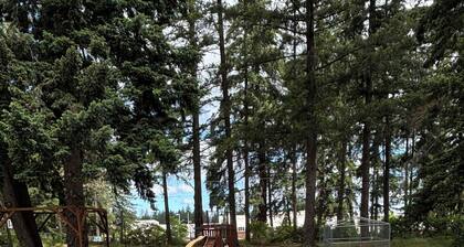 Swimming Pool, volleyball court, Pickleball court, basketball court, BBQ Grill