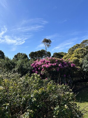 Property grounds - Two Twenty Two Farm Stay (Lymwood)