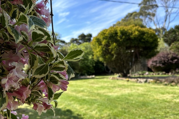 222 GARDEN