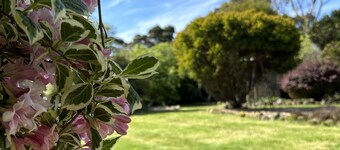 Two Twenty Two Farm Stay