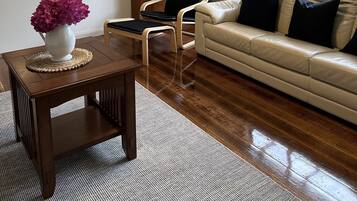 TV, fireplace, books